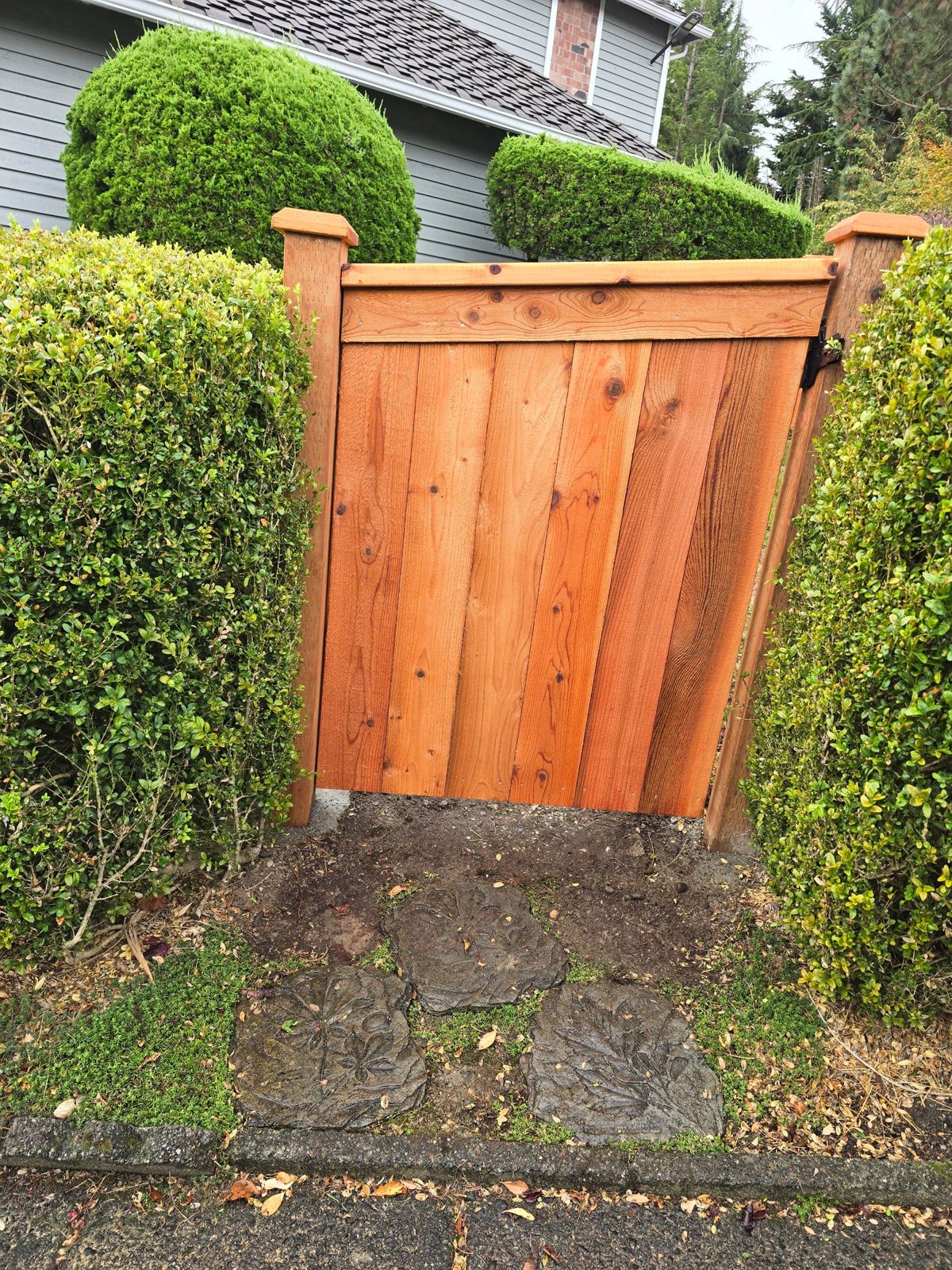 Modified cedar picture frame privacy fence with gate installed in Federal Way, WA, photo 01
