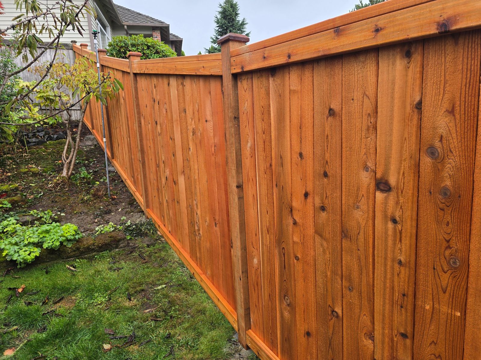 Modified cedar picture frame privacy fence with gate installed in Federal Way, WA, photo 05
