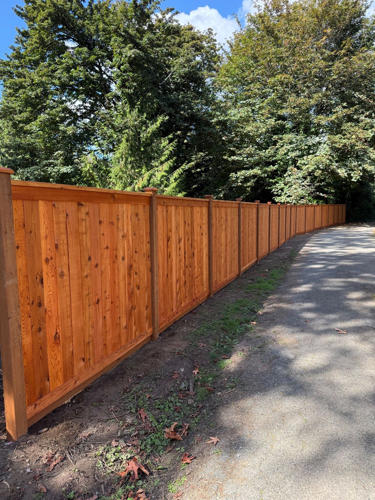 Cedar picture frame privacy fence installed in Maple Valley, WA, photo 01