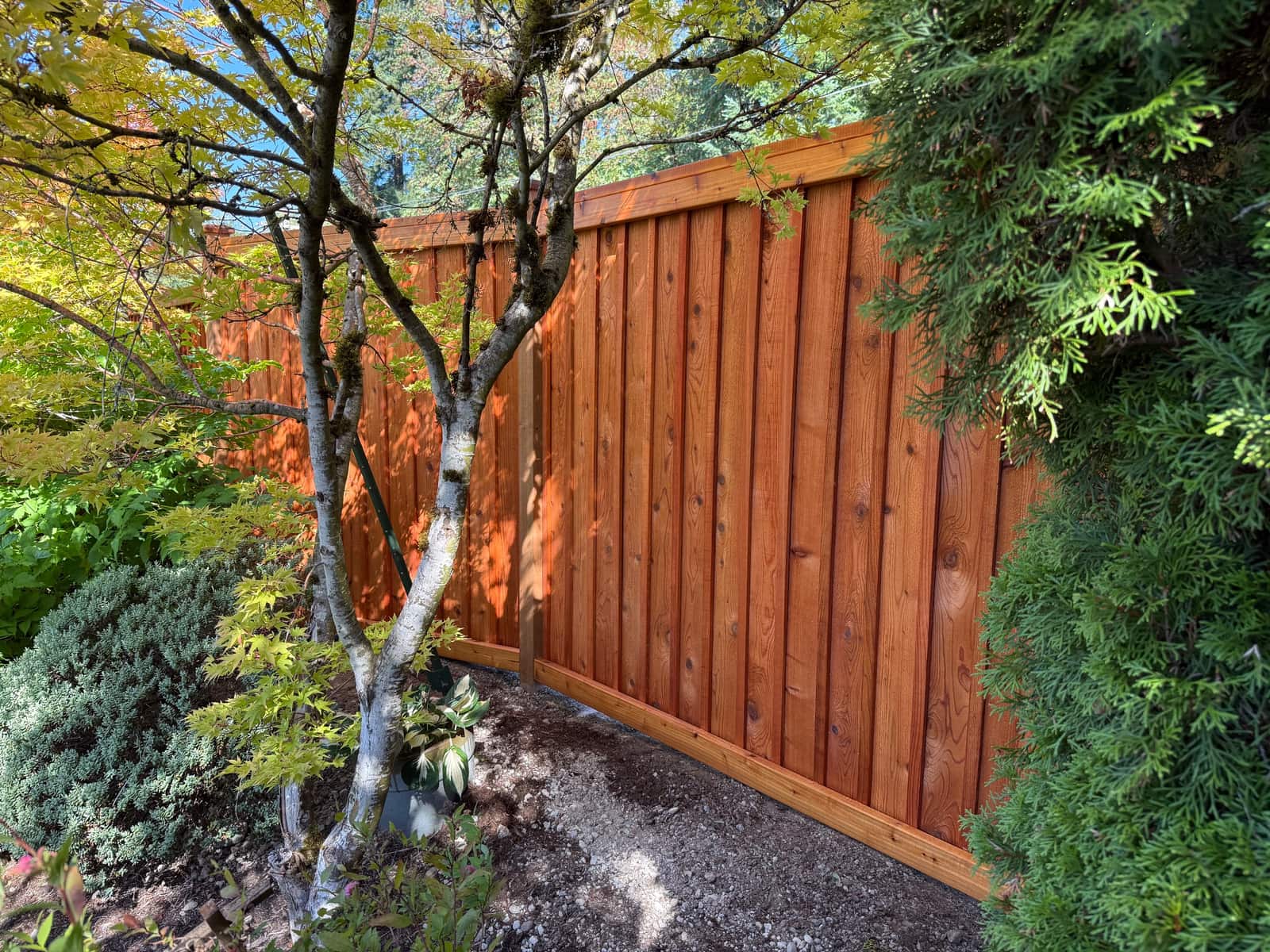 Penofin stained cedar picture frame fence in Renton, WA