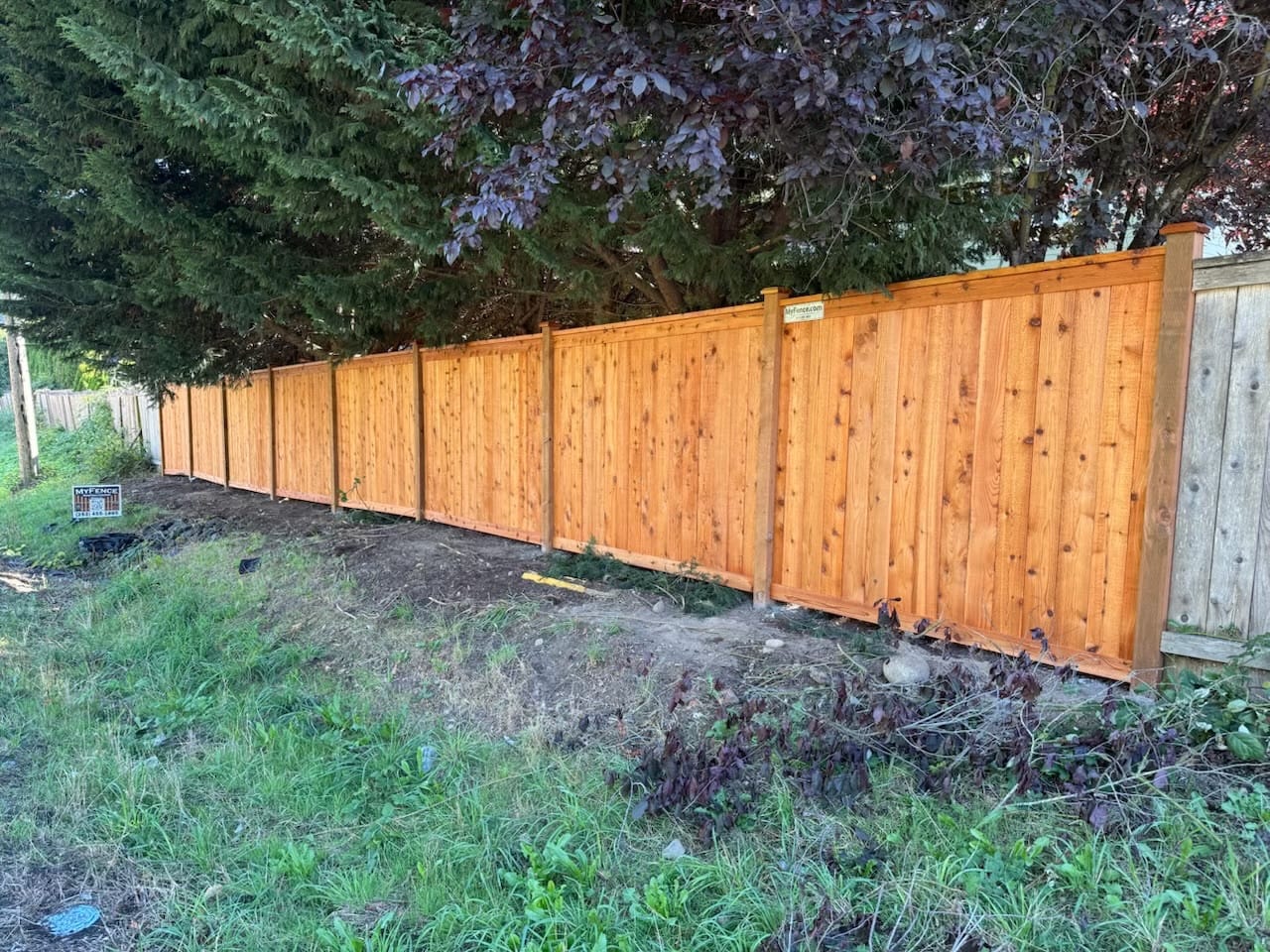 Penofin stained cedar picture frame fence under trees in Renton, WA